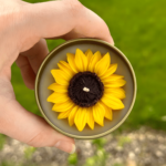 daisy-shaped candles