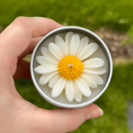 natural soy wax